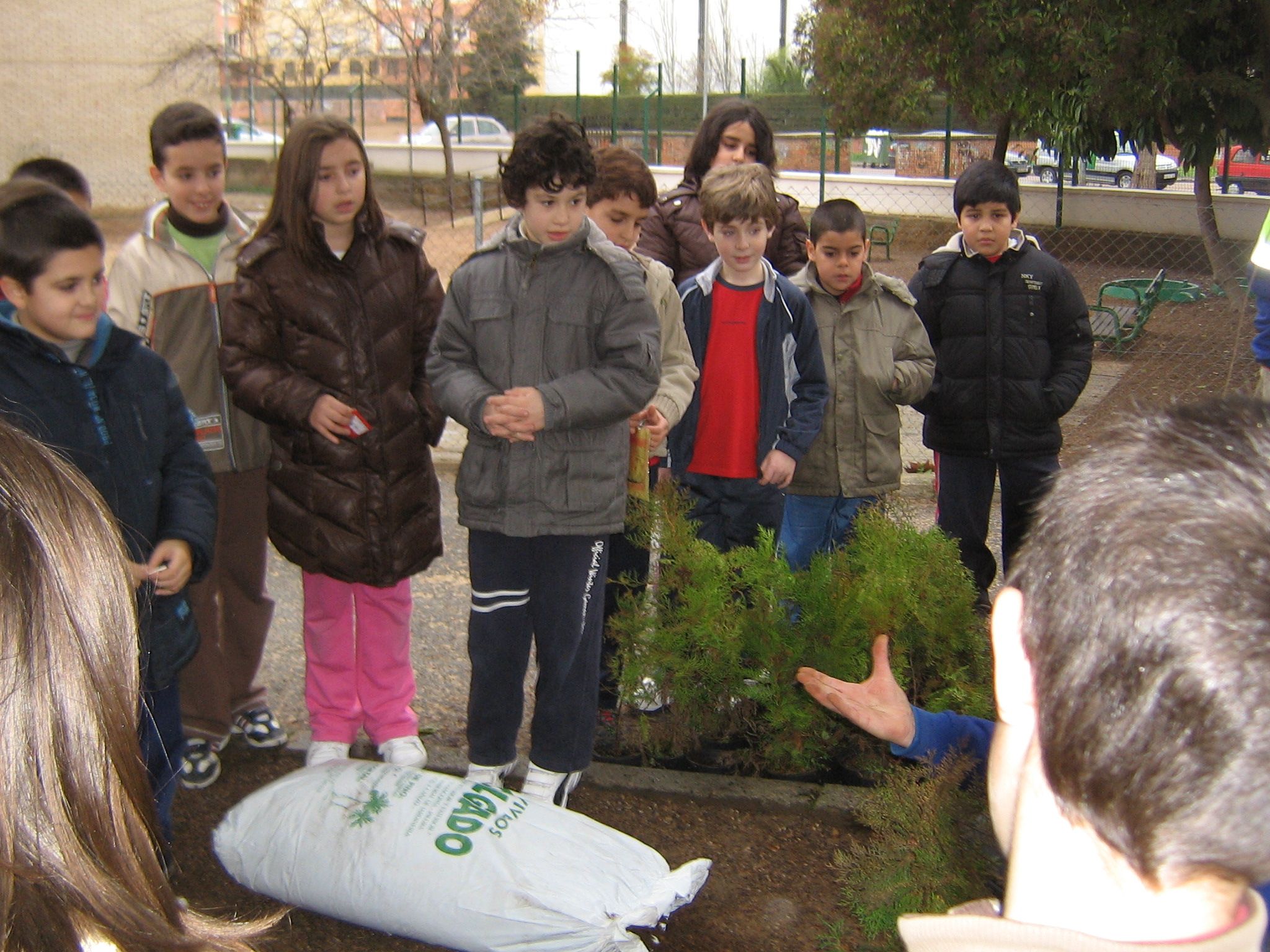 reforestacion 292